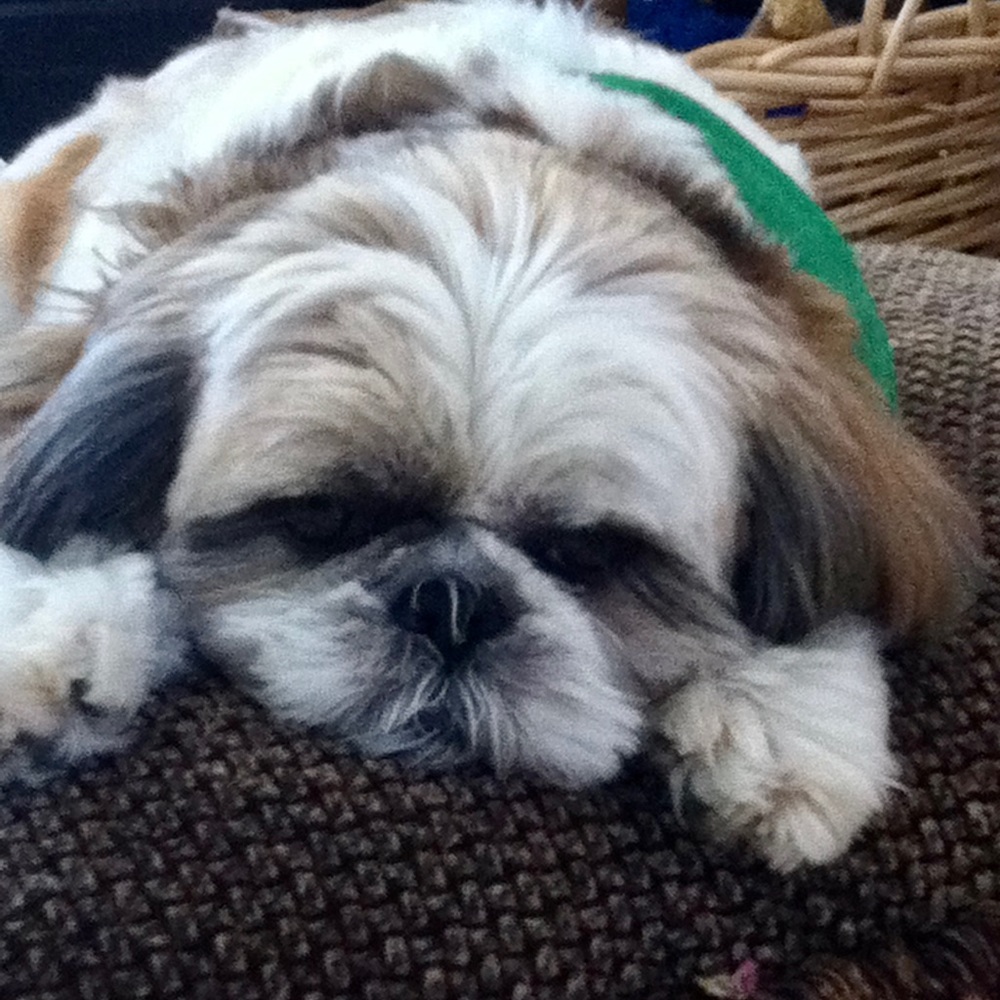 Meet your Posher, Kimberly